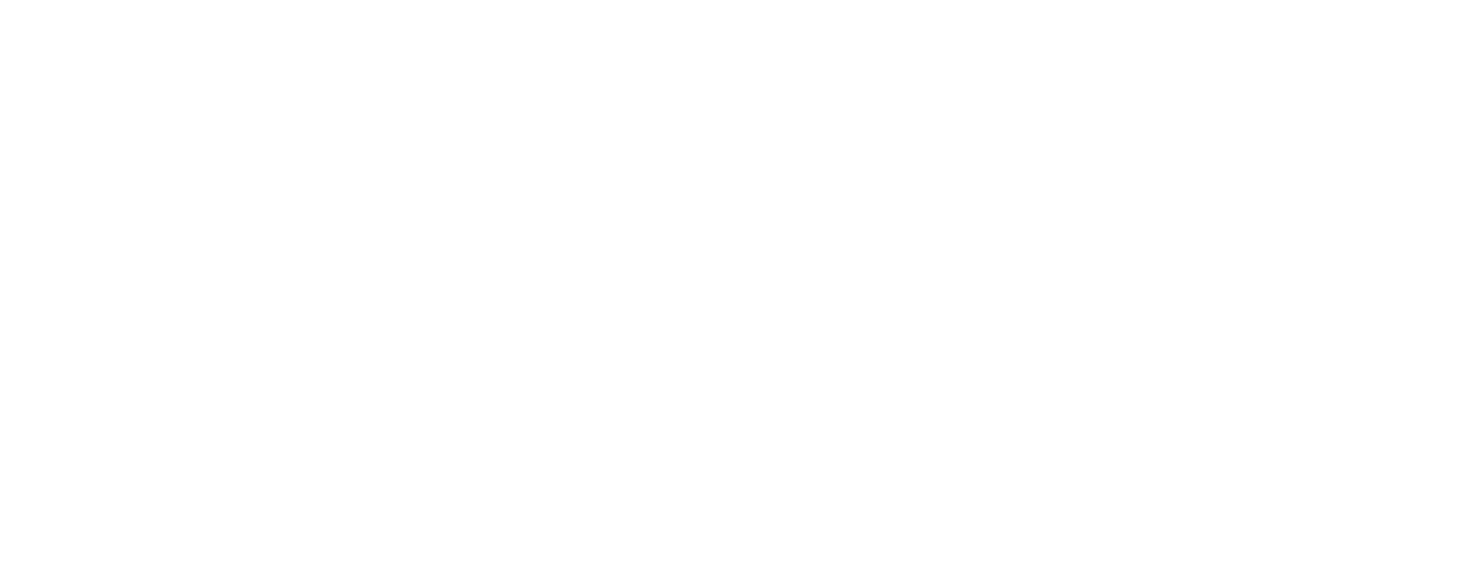 saraj logo